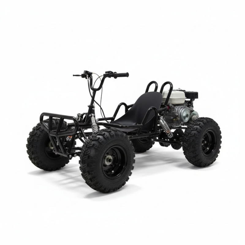 全地形対応車両ビッグホイール4ストロークガソリンオフロードゴ - Outdoor Adventure For Adults のレビューと価格